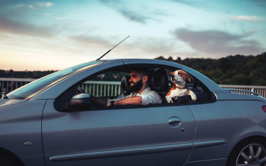 cabin air filter replace